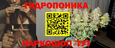синтетический гашиш Кингисепп