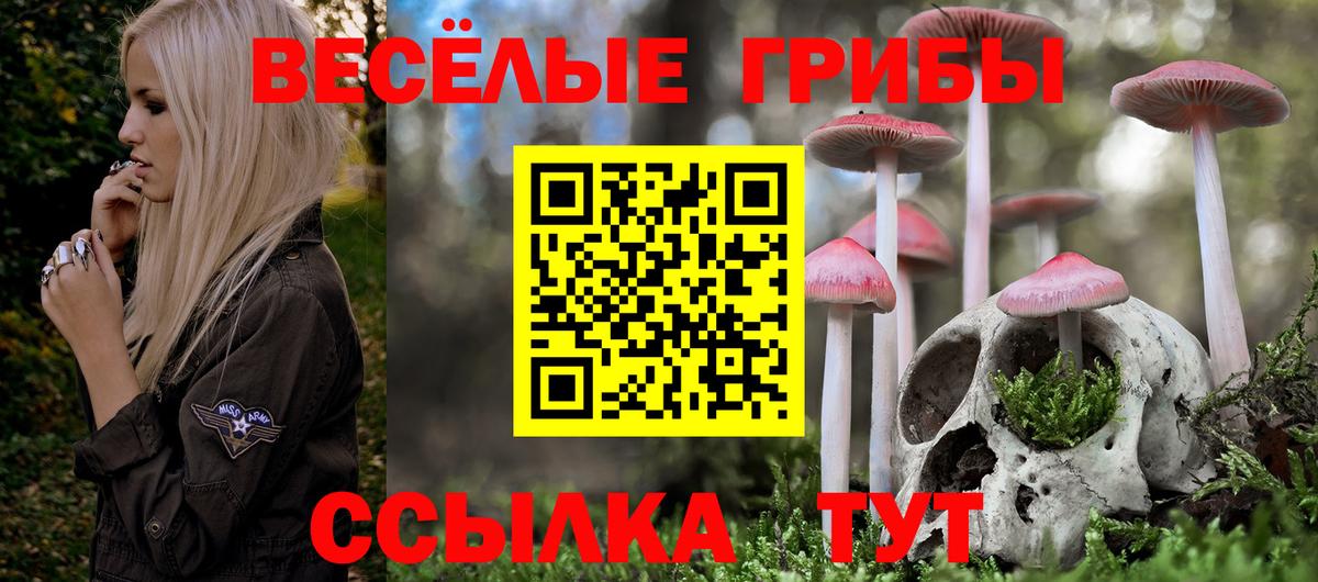 Кстово  Галлюциногенные грибы Psilocybe  Вход с VPN 
